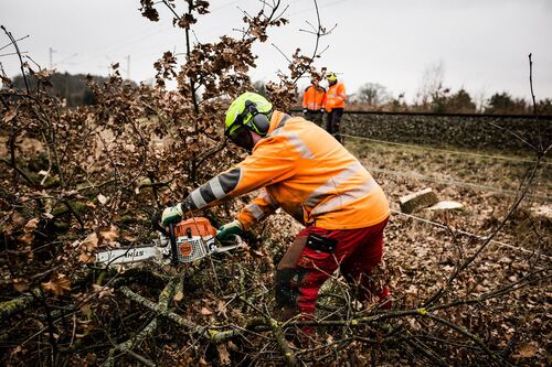 Bauarbeiter mit Sicherheitsjacke, Handschuhen und Helm sägt Äste mit einer Kettensäge, im Hintergrund zwei weitere Bauarbeiter