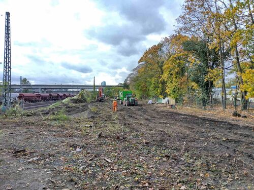 Eine gerodete Fläche. Mittig darauf fährt ein Traktor mit einem grünen Anhänger. Davon läuft ein Bauarbeiter in orangener Schutzkleidung.