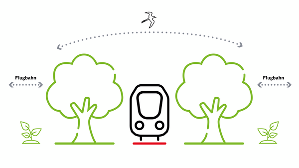 Icons von einem Zug der durch zwei große Bäume fährt. Neben den Bäumen sind Büsche als Bestand und über den Bäumen eine eingezeichnete Flugbahn der Vögel.